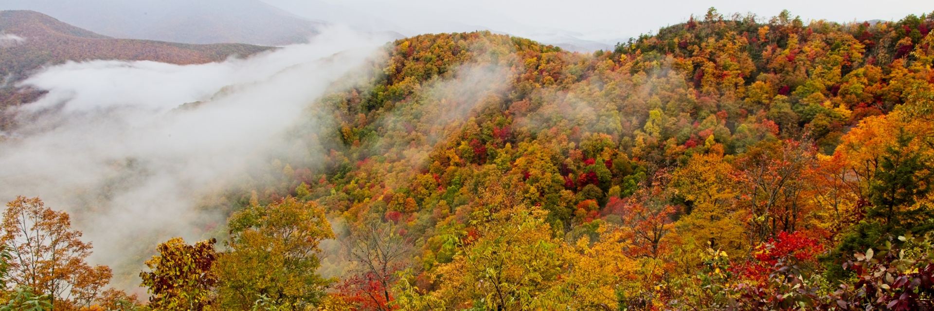 Fog pouring through autumn ridgelines in the Blue Ridge