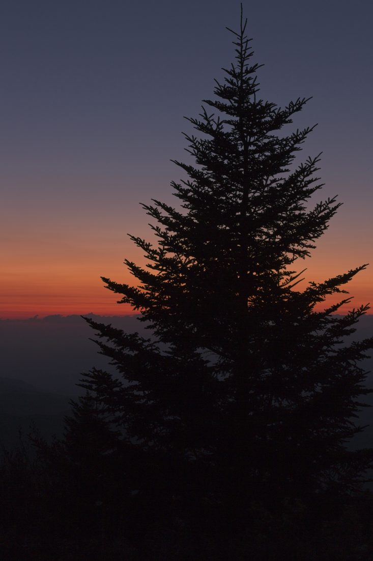 Vertical twilight scene with cool blue dusk over distant ridges — Blue Ridge Parkway