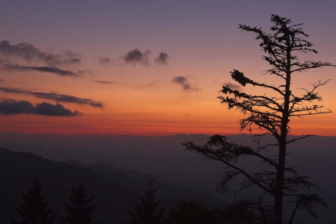 Pre-dawn sunrise breaking gold over silhouetted mountain ridges — Waterrock Knob, Blue Ridge Parkway