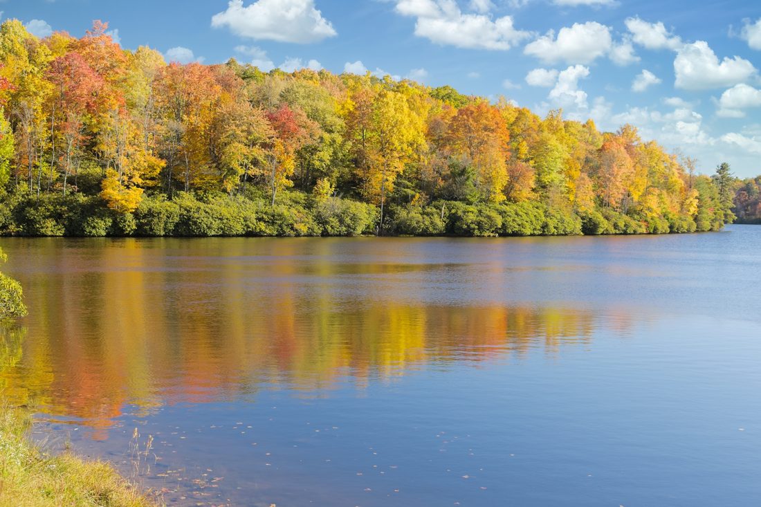 Mirror-still autumn lake reflecting vivid orange and gold treeline under blue sky — Price Lake, Blue Ridge Parkway